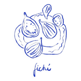 Fig illustration giclee print, 50x70cm