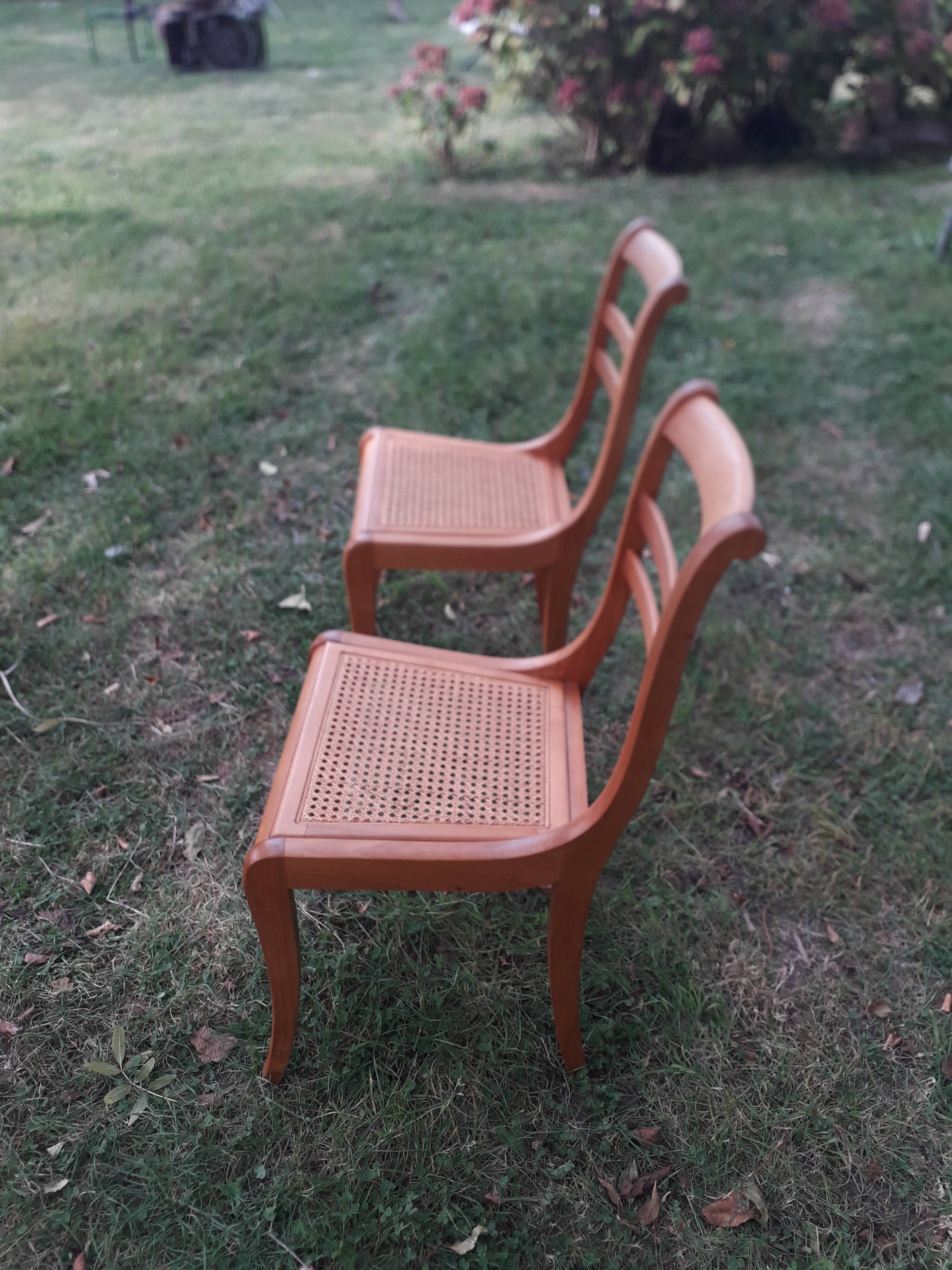 Pair of chair cane with barette