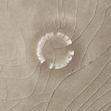 Square buffet plates - 24 cm - Kyoto model - Maison Montgolfier