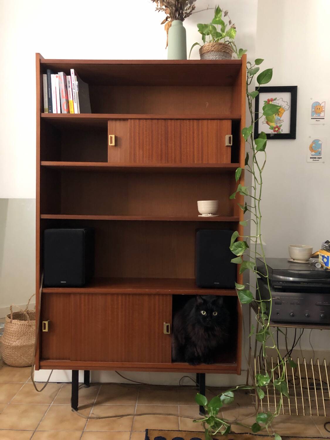 Armoire / bibliothèque placage teck