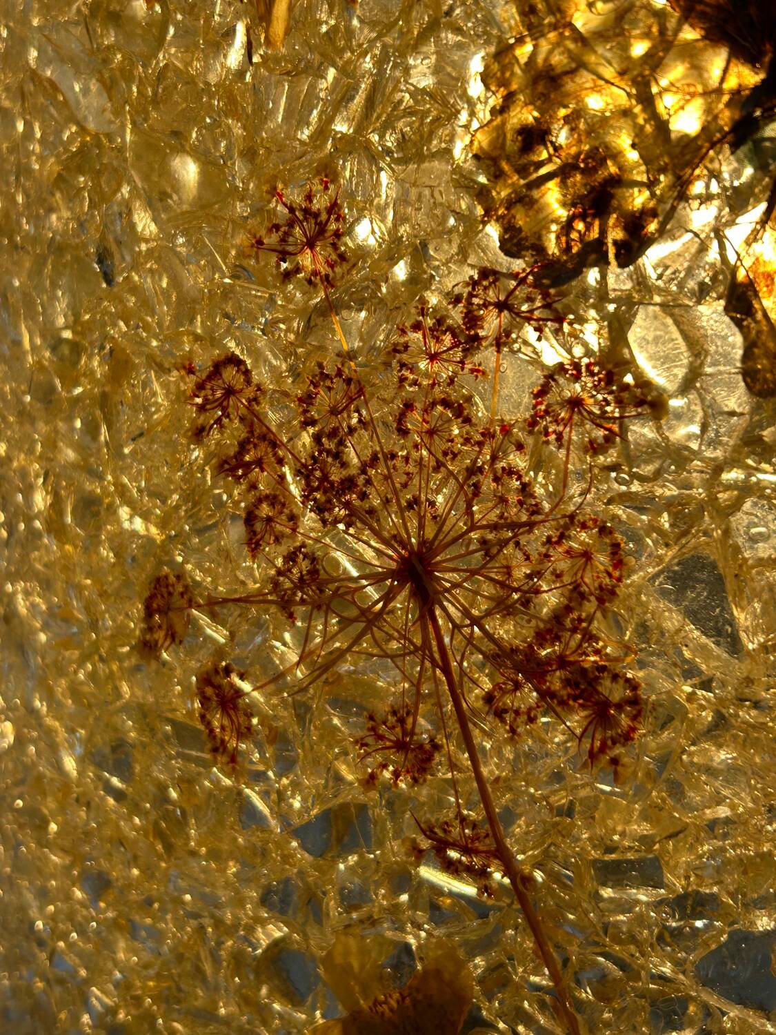 Large Accolay Ceramic and Resin Lamp