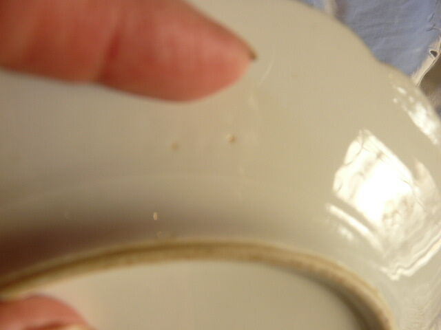 10 porcelain dessert plates xixth century