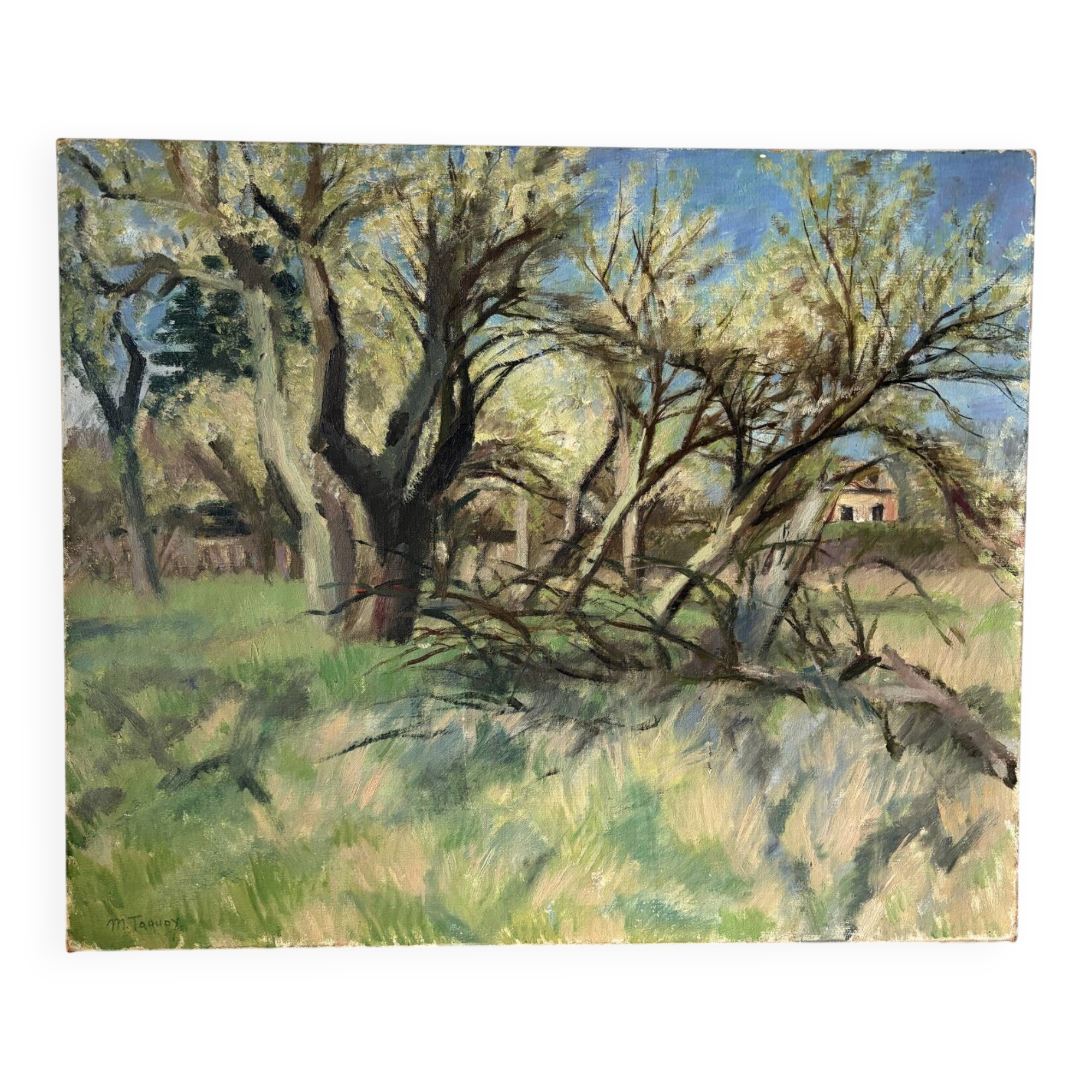 Paysage de forêt, huile sur toile signée Taquoy