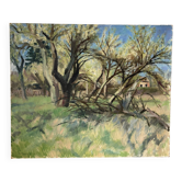 Forest landscape, oil on canvas signed Taquoy.