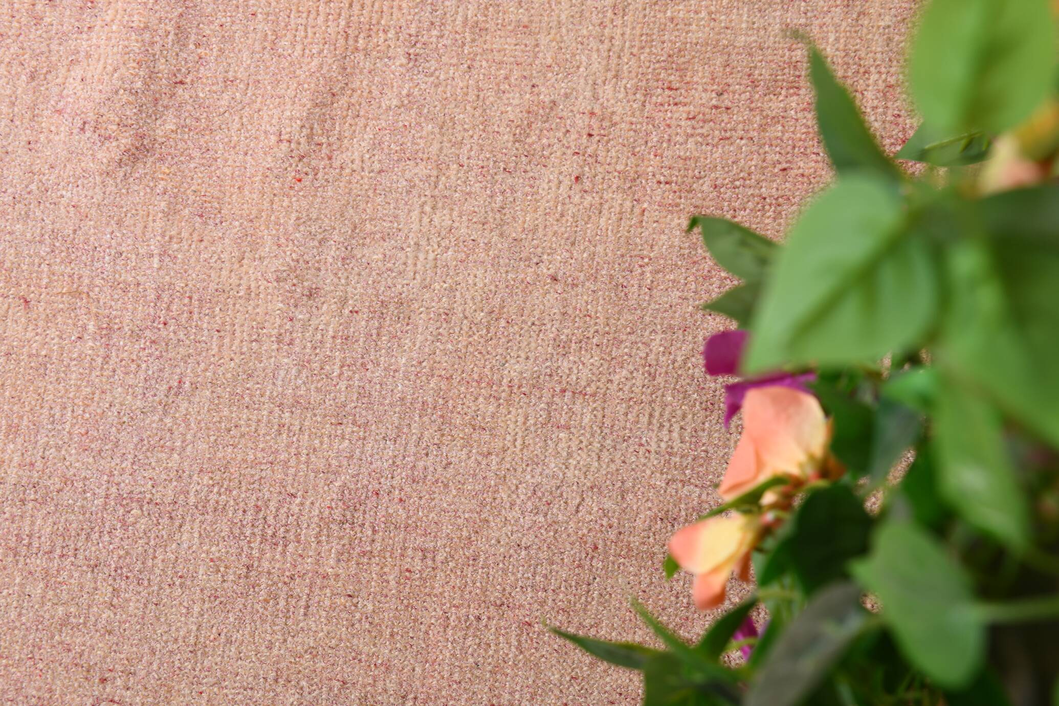 Tapis Anatolien Vintage Fait Main en Laine,Tons Rose Poudré & Beige 265x166