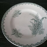 Suite of 2 old plates