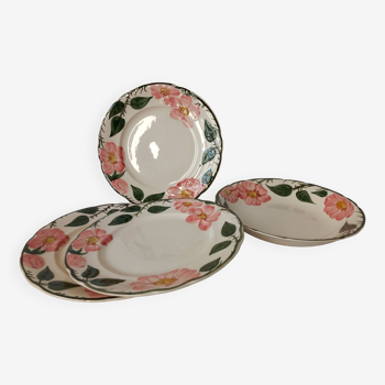 Villeroy And Boch Wild Rose Plates