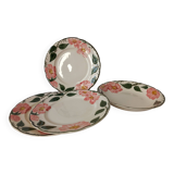 Villeroy And Boch Wild Rose Plates