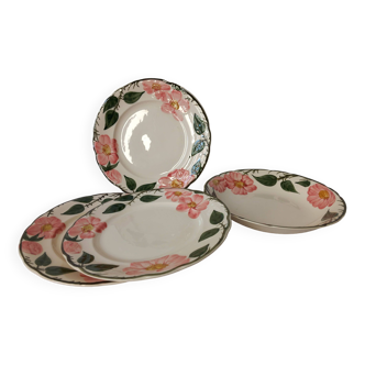 Assiettes Villeroy Et Boch Wild Rose