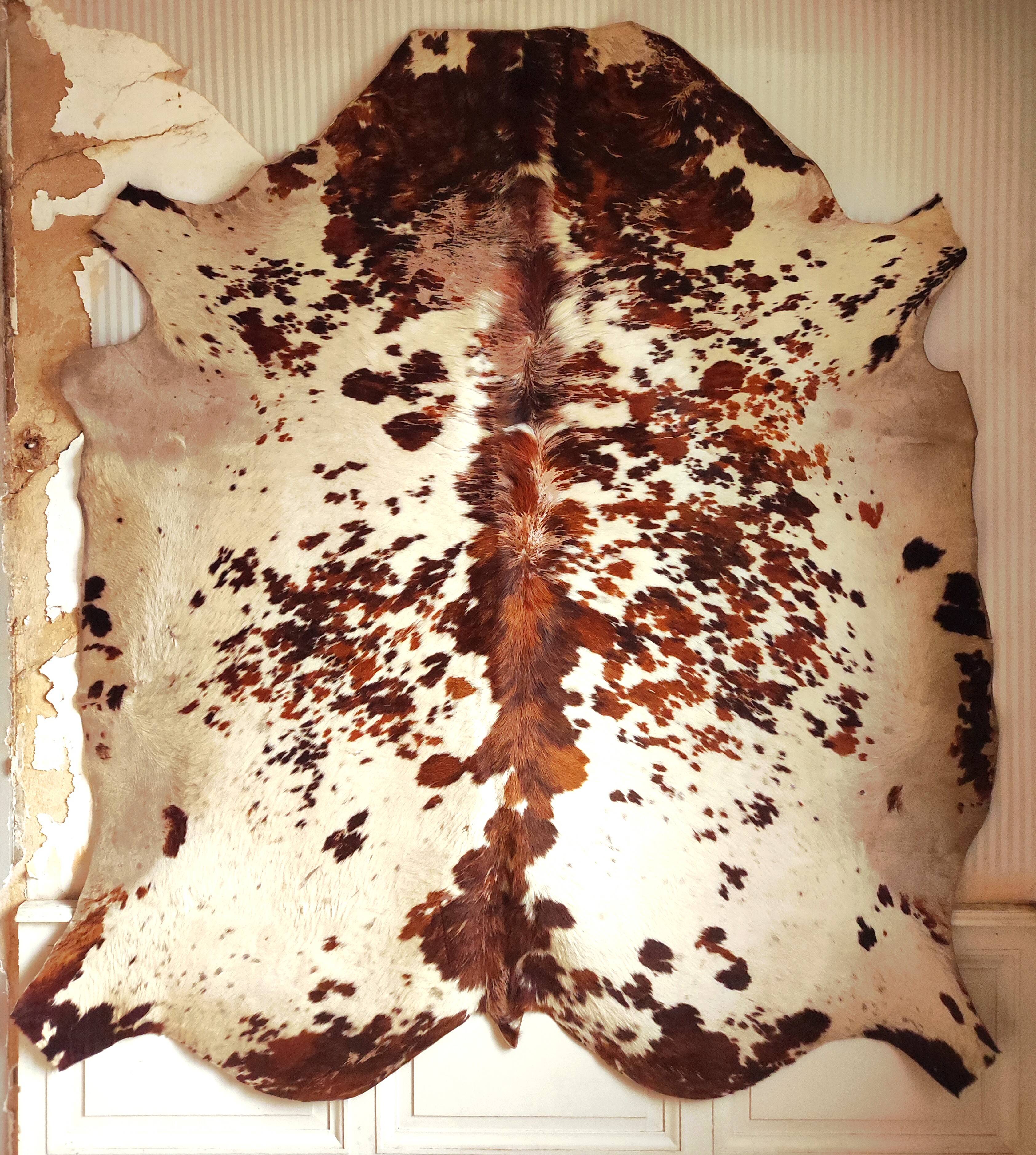 Cowhide rug 1970