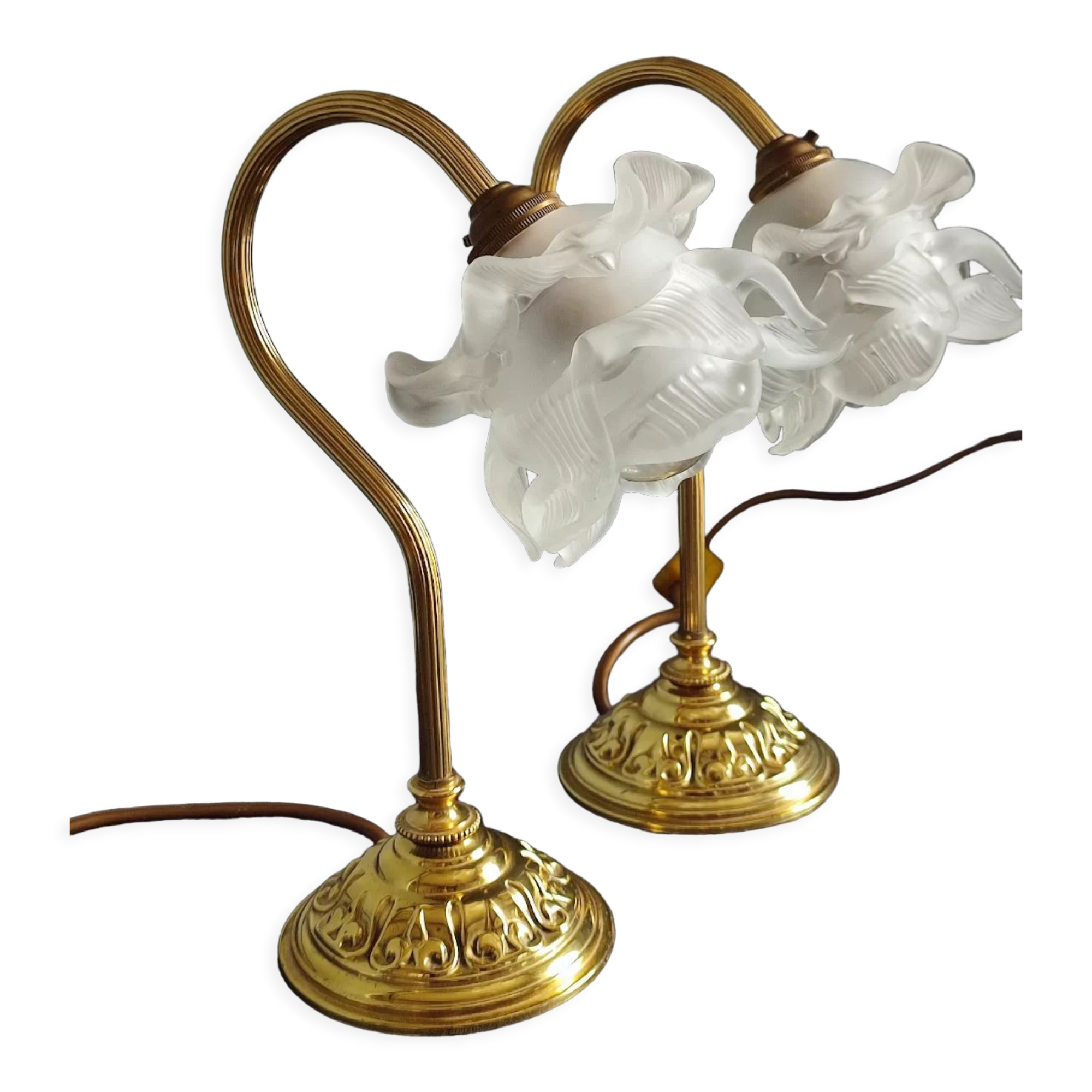 Pair of vintage gooseneck lamp