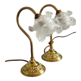 Pair of vintage gooseneck lamp