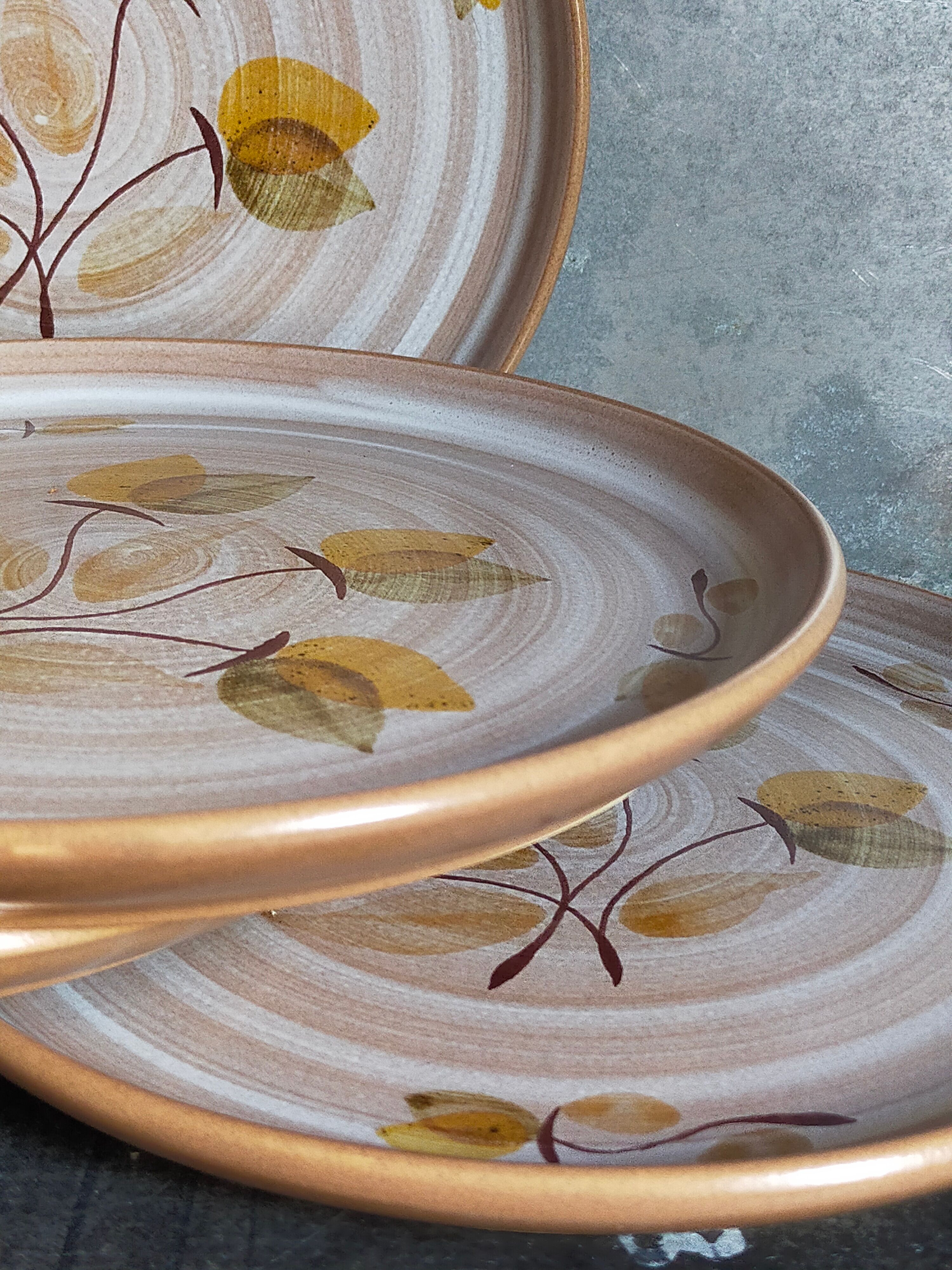 Six Niderviller stoneware plates with vintage plant décor