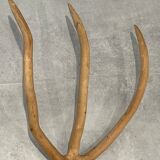Old agricultural fork