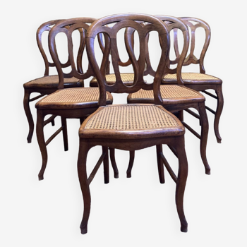 6 chaises louis philippe cannées