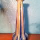 Vases De Bruyn 1900s