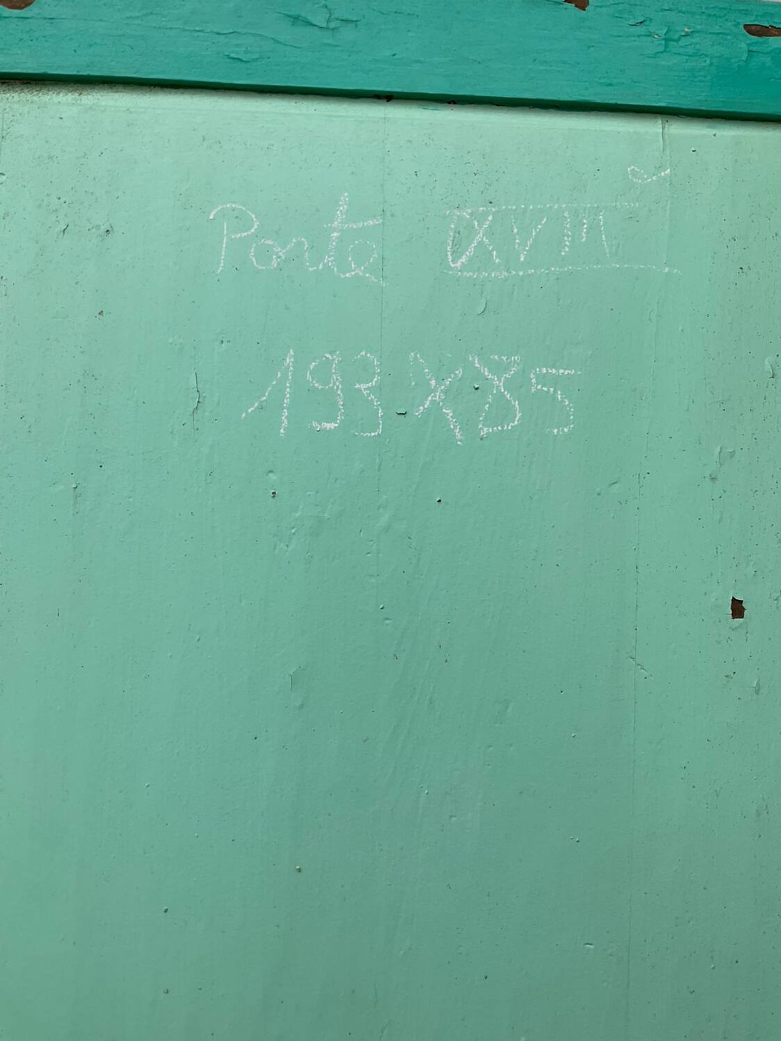 Door H 193 x W 85