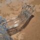 Pair of glass candle holders