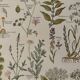 Illustrated plate on medicinal plants (XXV) - 1920