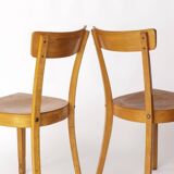 Pair of 1950s Frankfurt Dining Chairs, Germany – Refurbished Beechwood