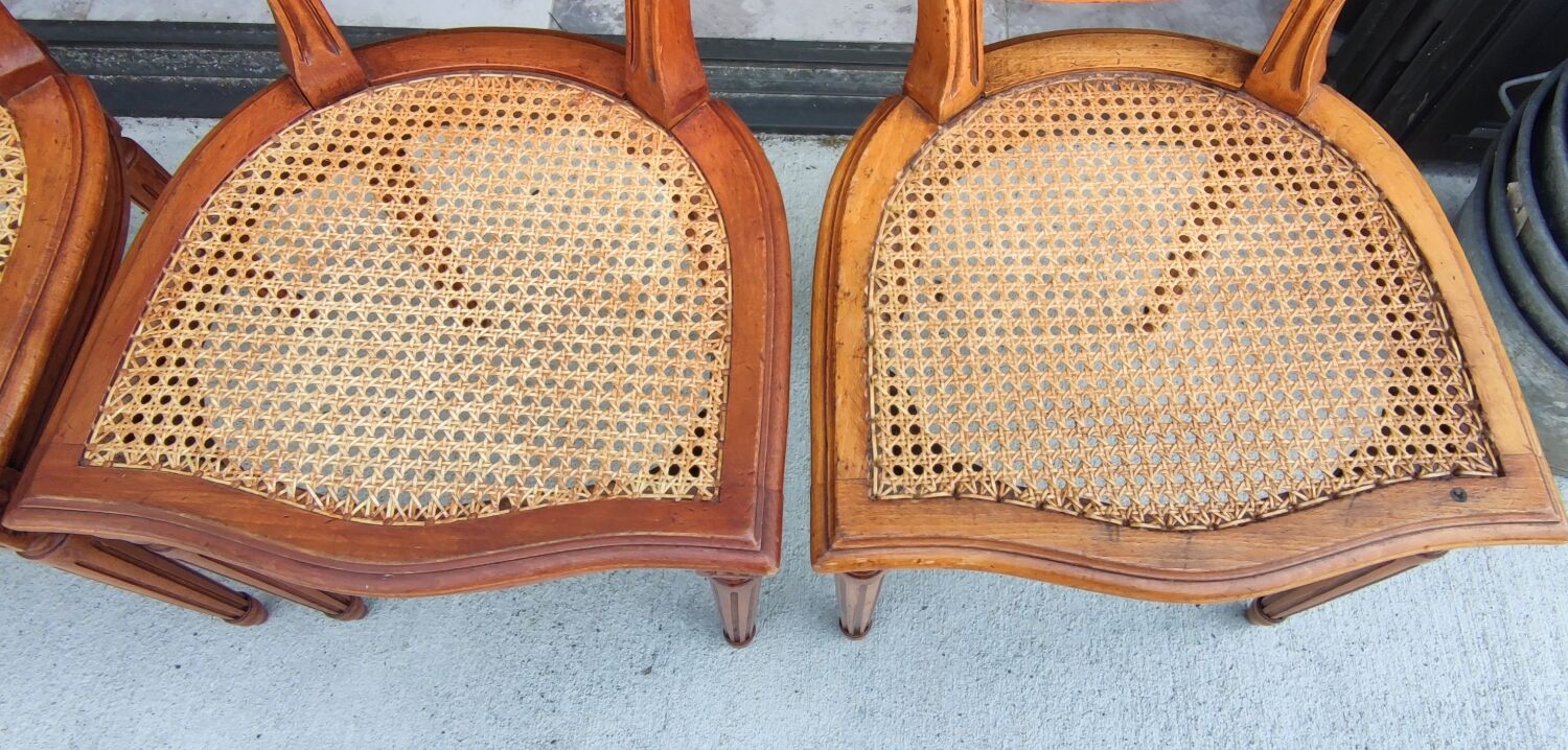 Series of 4 medallion chairs Louis XVI style