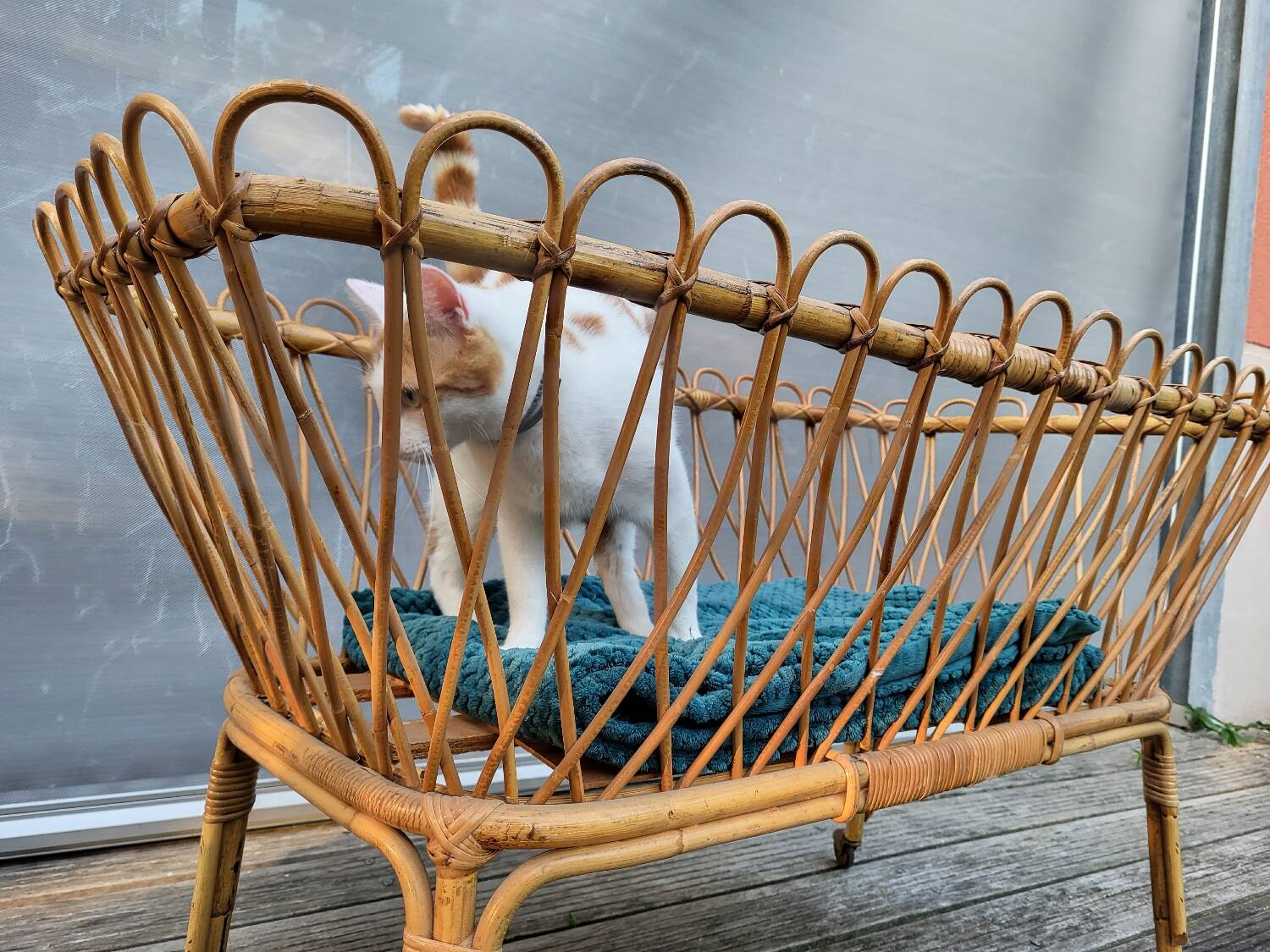 Nursery basket for green plants