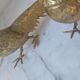 Set of 2 brass sculptures, pheasant couple