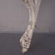 Console marble lacquered new art