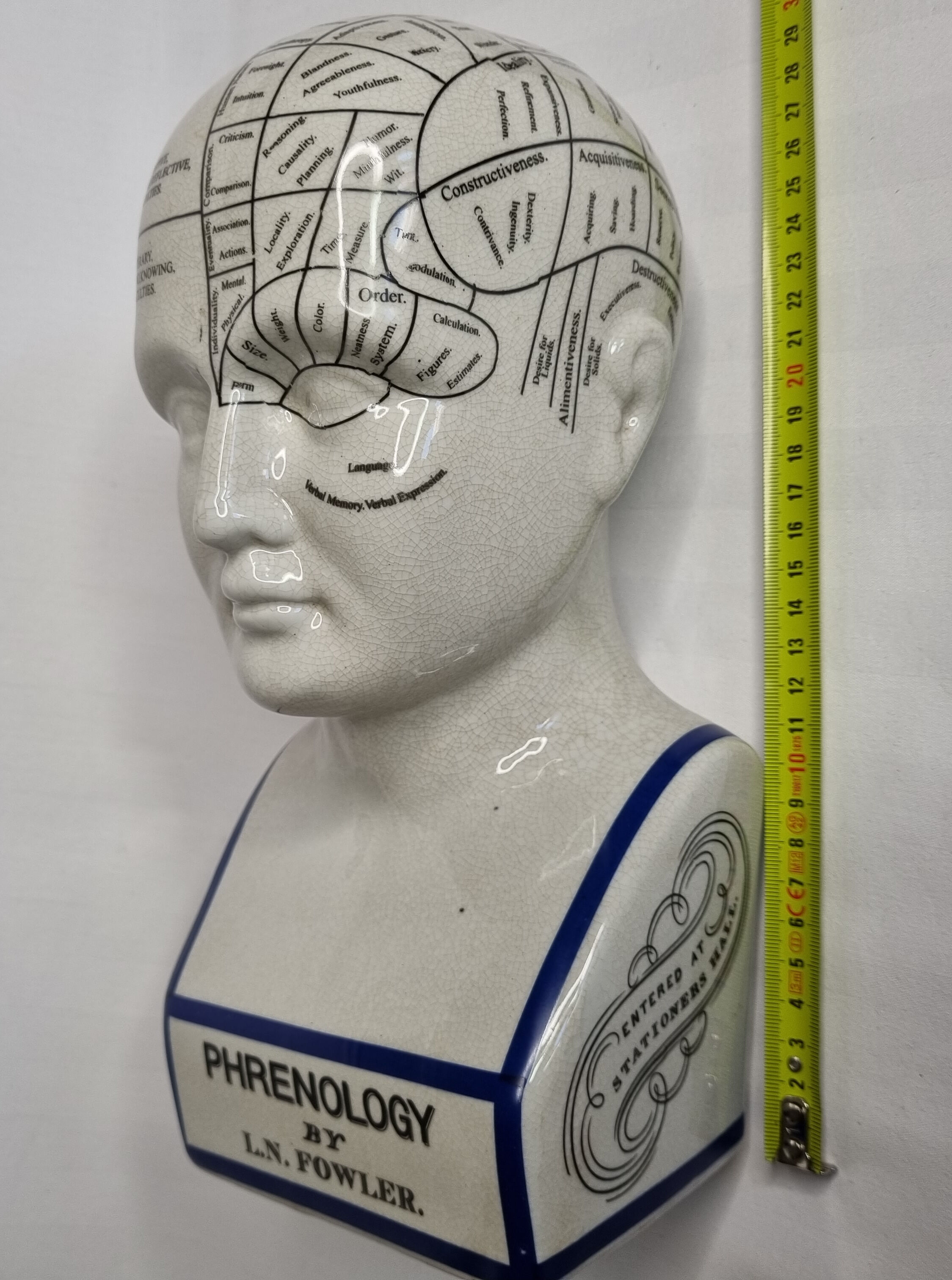 Phrenology bust after d'après L.N. Fowler