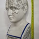 Phrenology bust after d'après L.N. Fowler