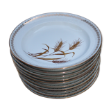 10 Hollow plates wheat pattern - gold edged - pl -porcelain vintage