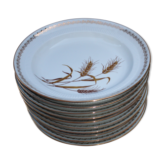 Set de 10 assiettes creuses motif blé liseré or porcelaine vintage