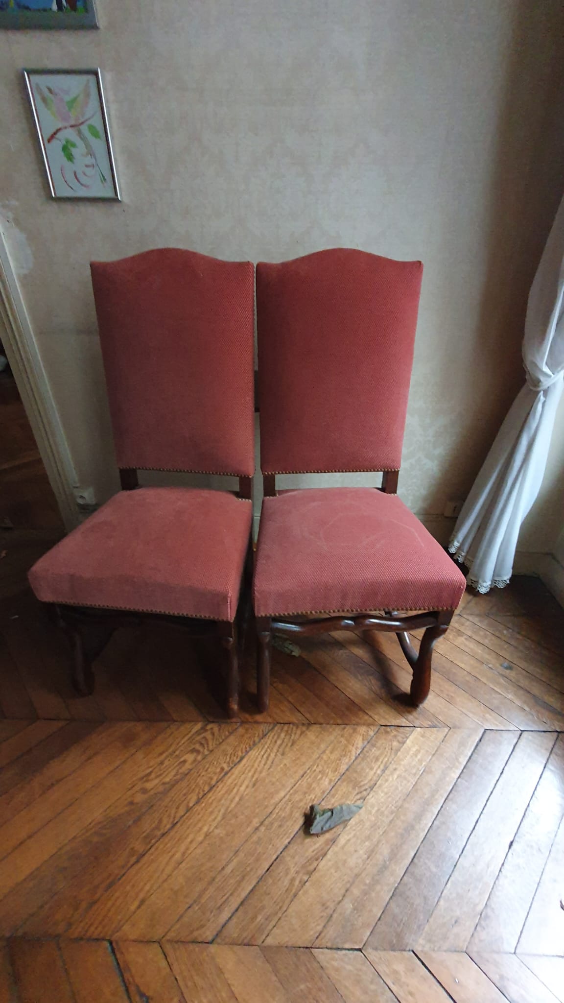Pair of chairs "sheep bone"