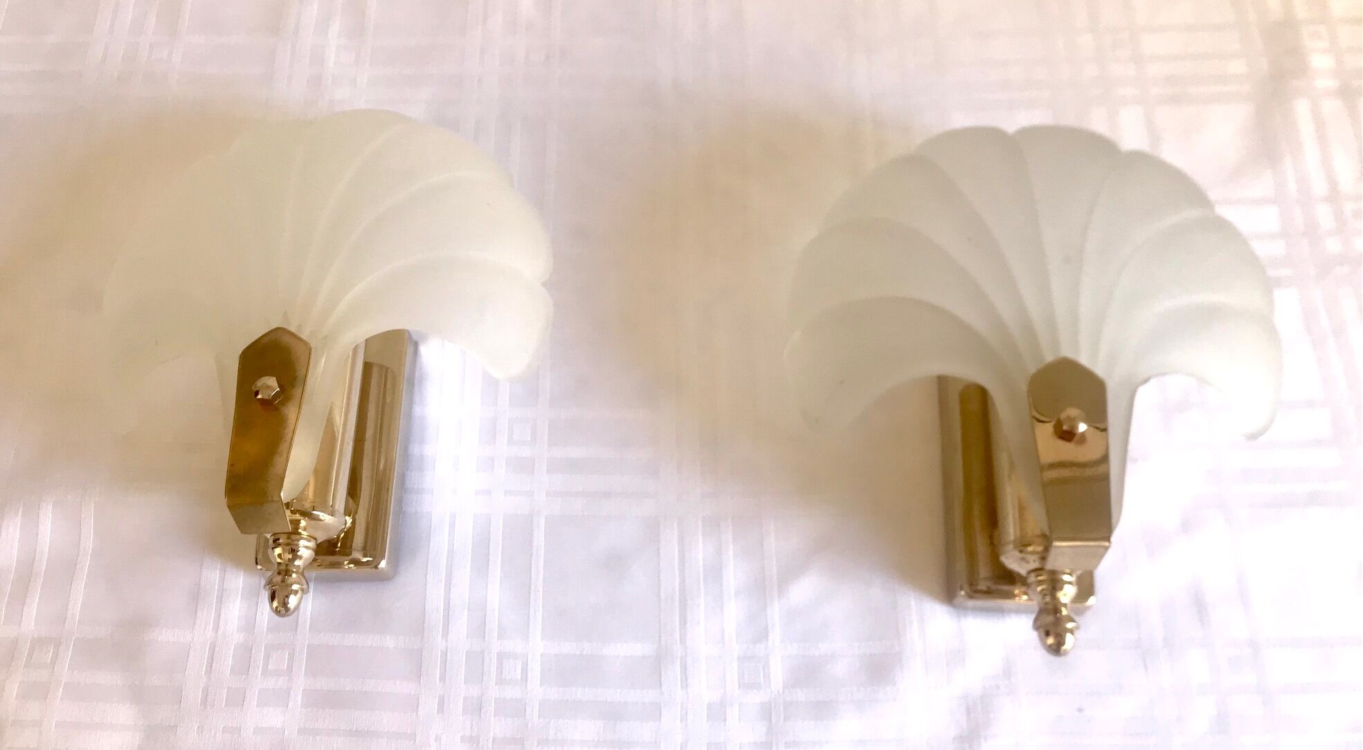 Pair of shell sconces