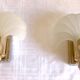 Pair of shell sconces