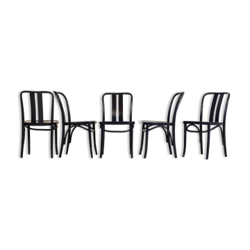 5 chaises bleu ZPM Radomsko 1960