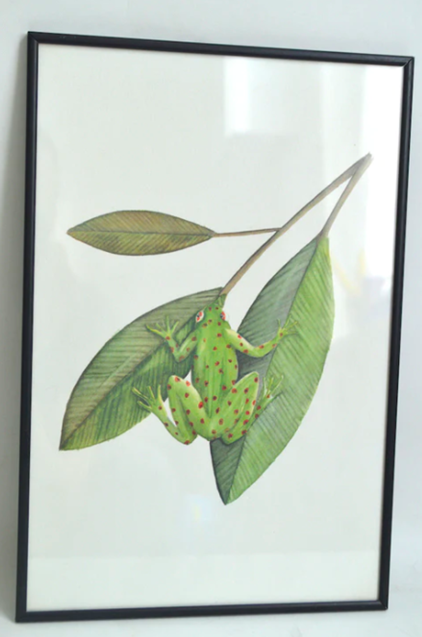 Illustration