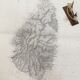 Ancient marine map is St Lucie Antilles