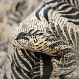 Stunning vintage TOGO Limited Edition by Michel Ducaroy for Ligne Roset France