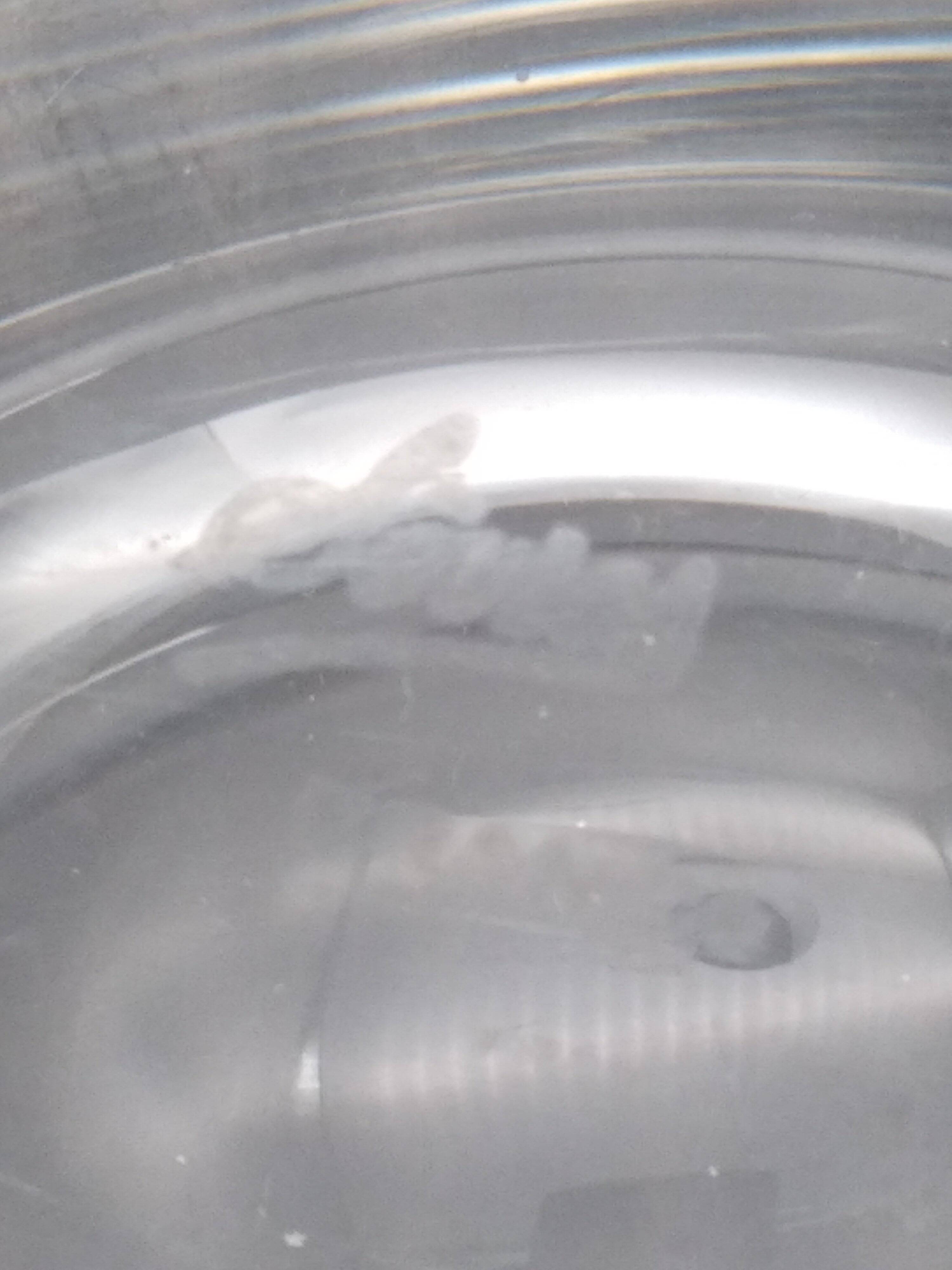 Fruit bowl .59 cm. Sevres France.