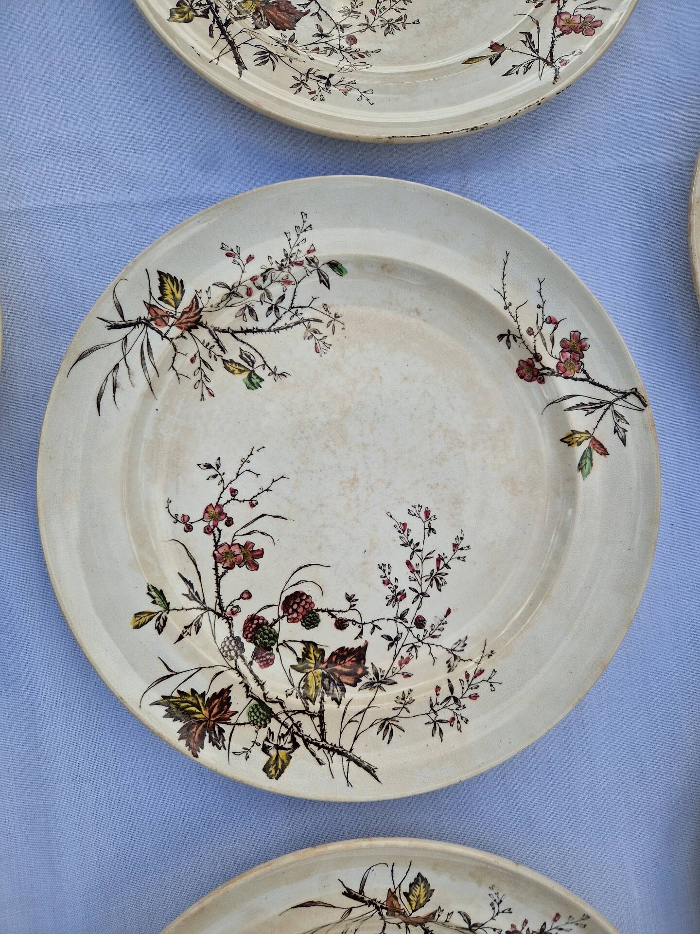 Set of 12 Terre De Fer Plates Manufacture Moore & Co Model Como