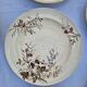 Set of 12 Terre De Fer Plates Manufacture Moore & Co Model Como