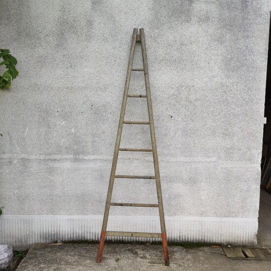 Old painter's ladder