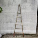 Old painter's ladder