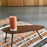 Teak and metal coffee table