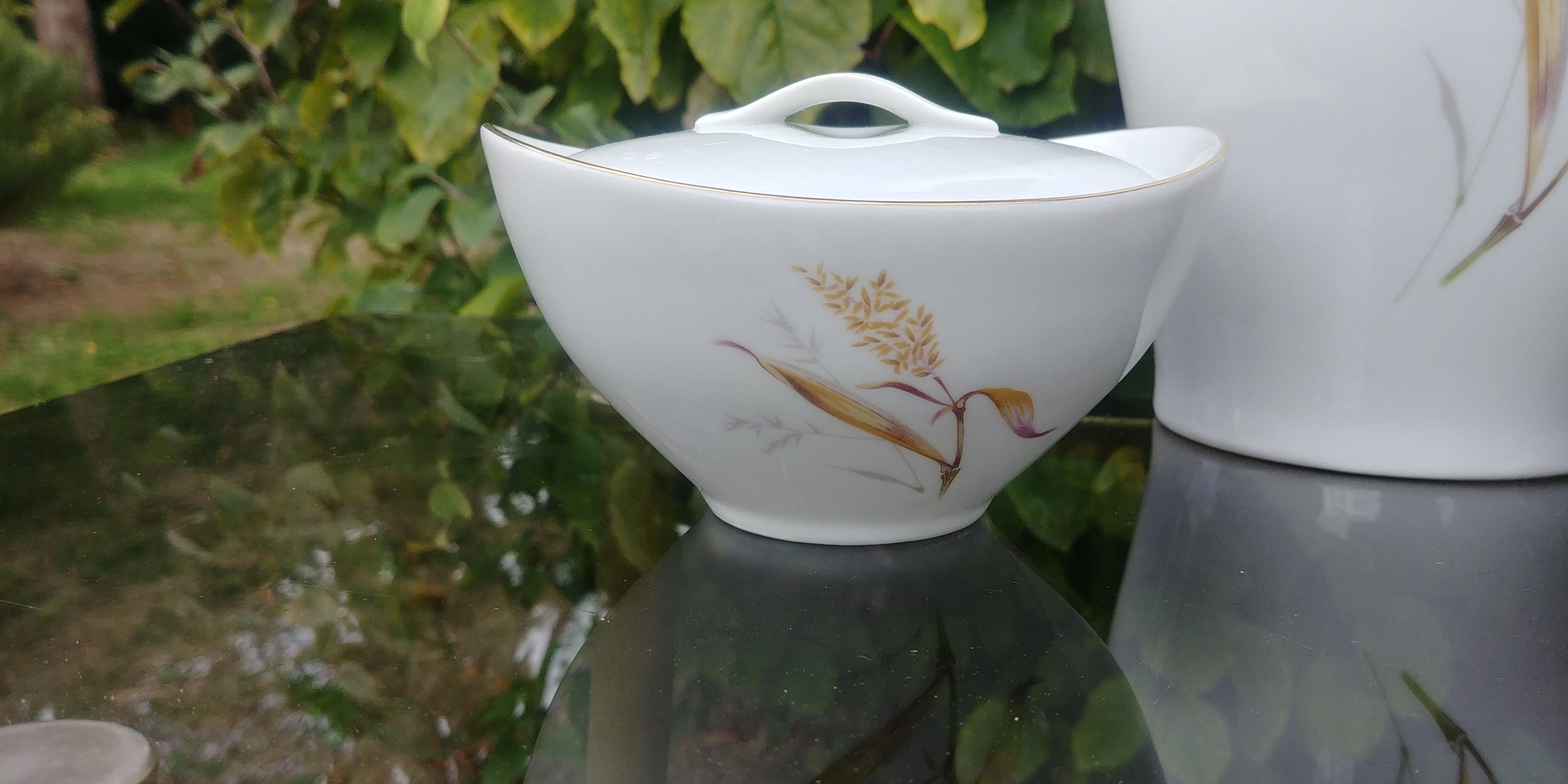 Coffee service Eschenbach Bavaria-Germany in fine porcelain decoration wheat Vintage years 70/80s