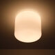 Large Prof Wilhelm Wagenfeld Opaline Pendant Lamp 1930s