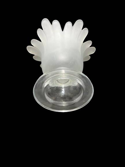 Glass flower vase