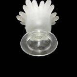 Glass flower vase