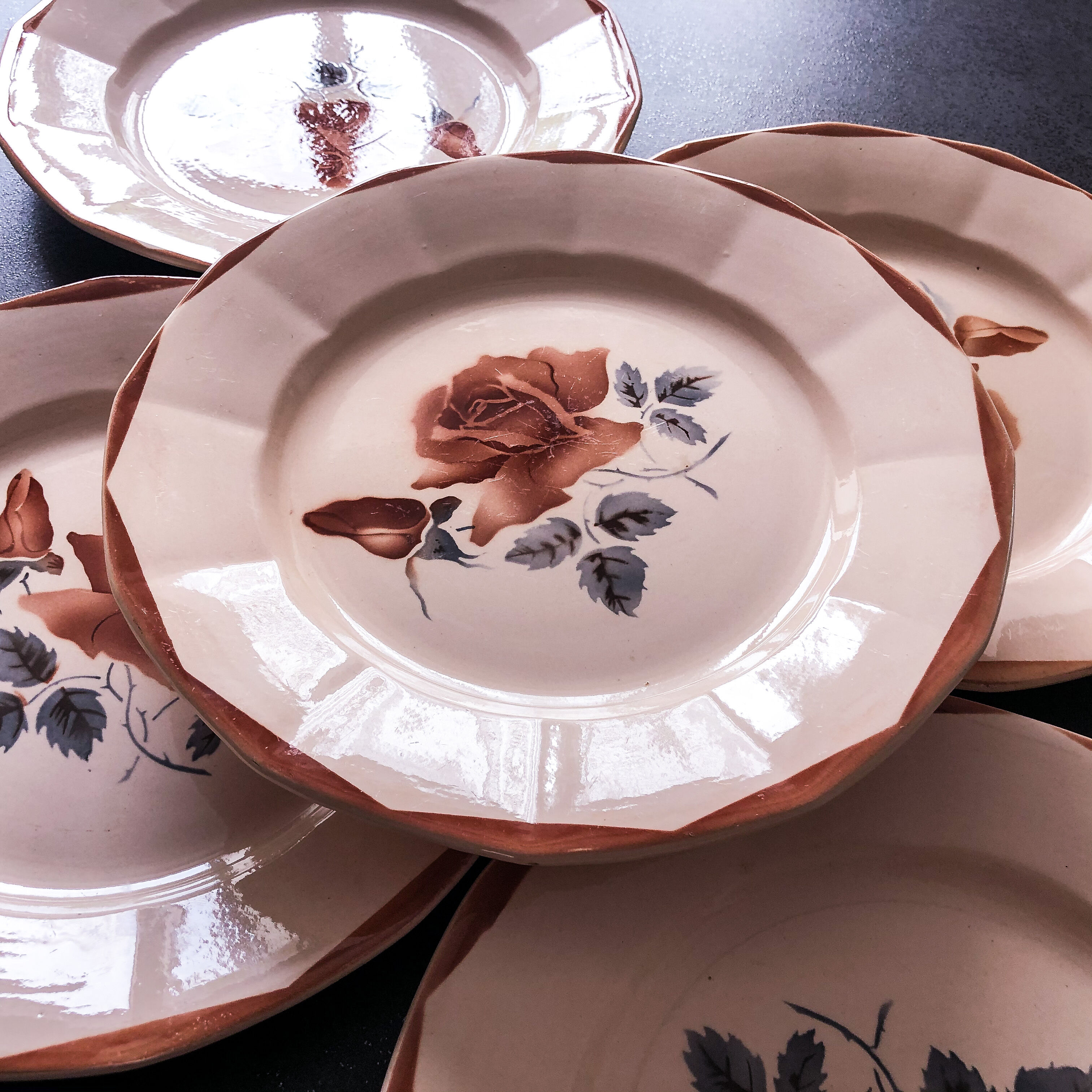 5 flat plates digoin sarreguemines